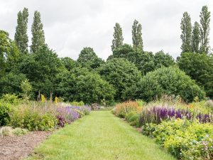Aylett's celebration garden