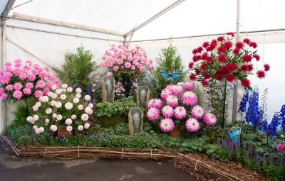 Water feature at the Dahlia Festival