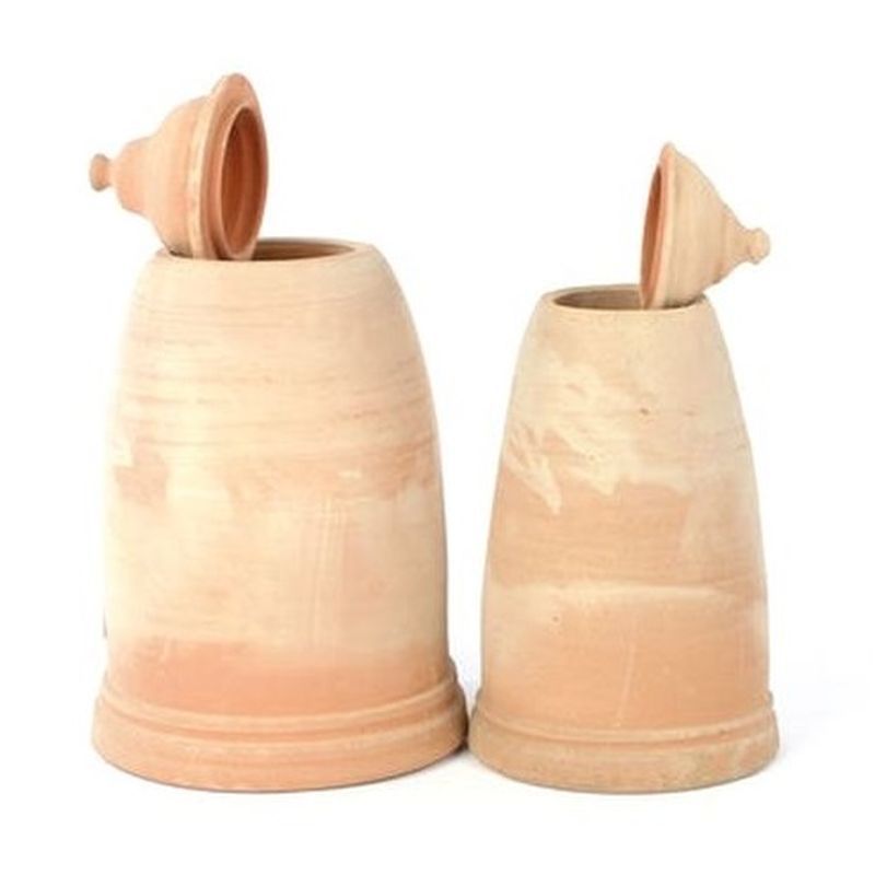 Woodlodge Terracotta Rhubarb Pot/Forcer - W:38cm x H:60cm x D:38cm