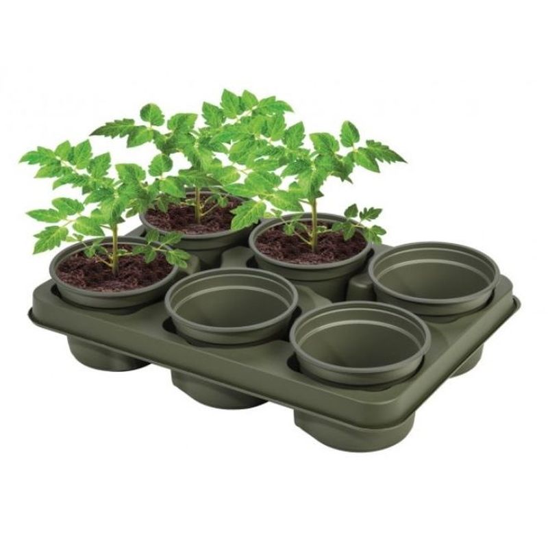 Bio-Based Growing Tray + 6 x 12cm Pots