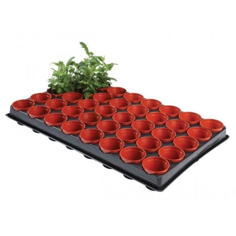 Professional Seed & Cutting Tray + 40 x 6cm Pots