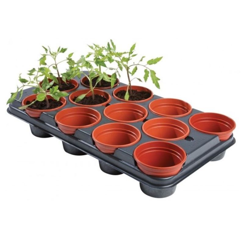Professional Growing Tray with 12 x 11cm Pots