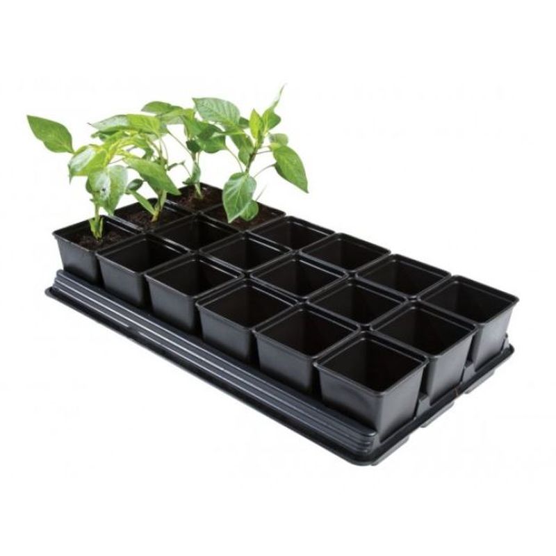 Professional Vegetable Tray + 18 x 9cm Square Pots