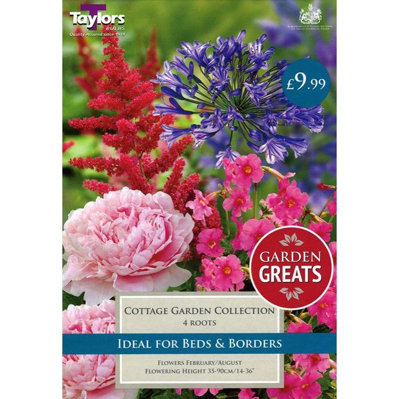 Taylors Bulbs Cottage Garden Collection - 4 Roots (SV302)