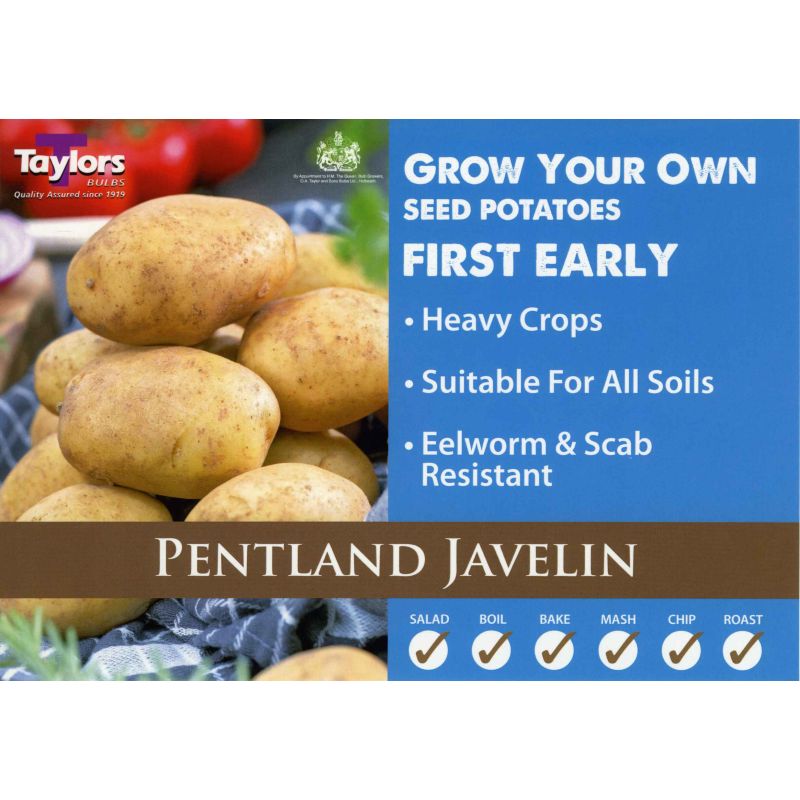Taylors Bulbs | Pentland Javelin First Early Seed Potatoes - 2kg Pack (VAC418)