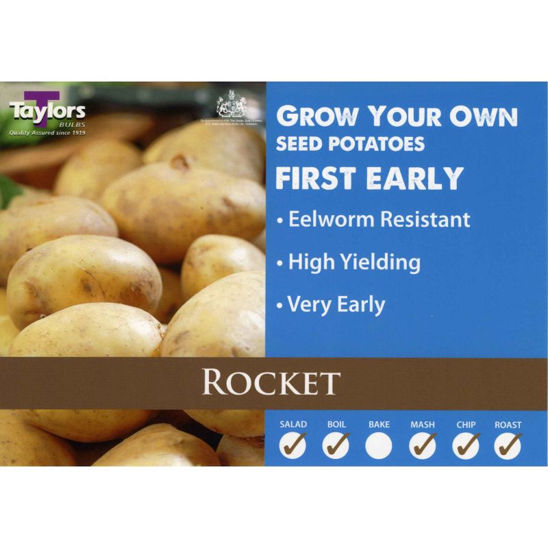 Taylors Bulbs | Rocket First Early Seed Potatoes - 2kg Pack (VAC426)