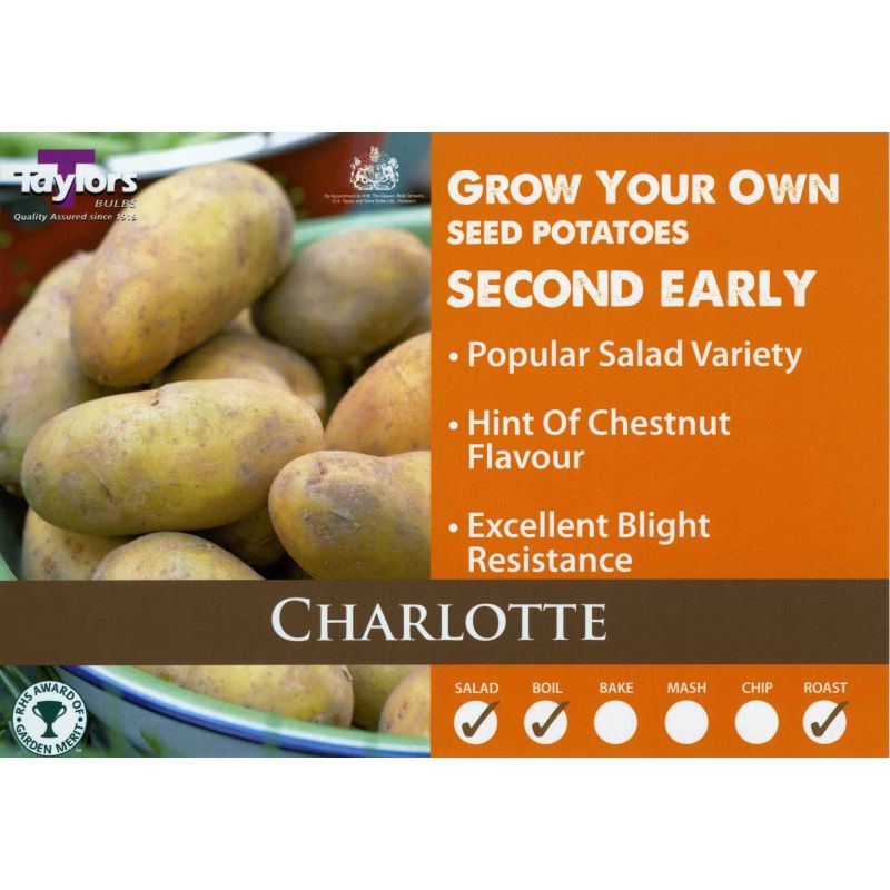 Taylors Bulbs | Charlotte Second Early Seed Potatoes - 2kg Pack (VAC440)