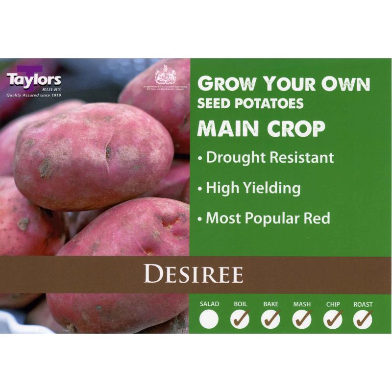Taylors Bulbs | Desiree Main Crop Seed Potatoes - 2kg Pack (VAC474)
