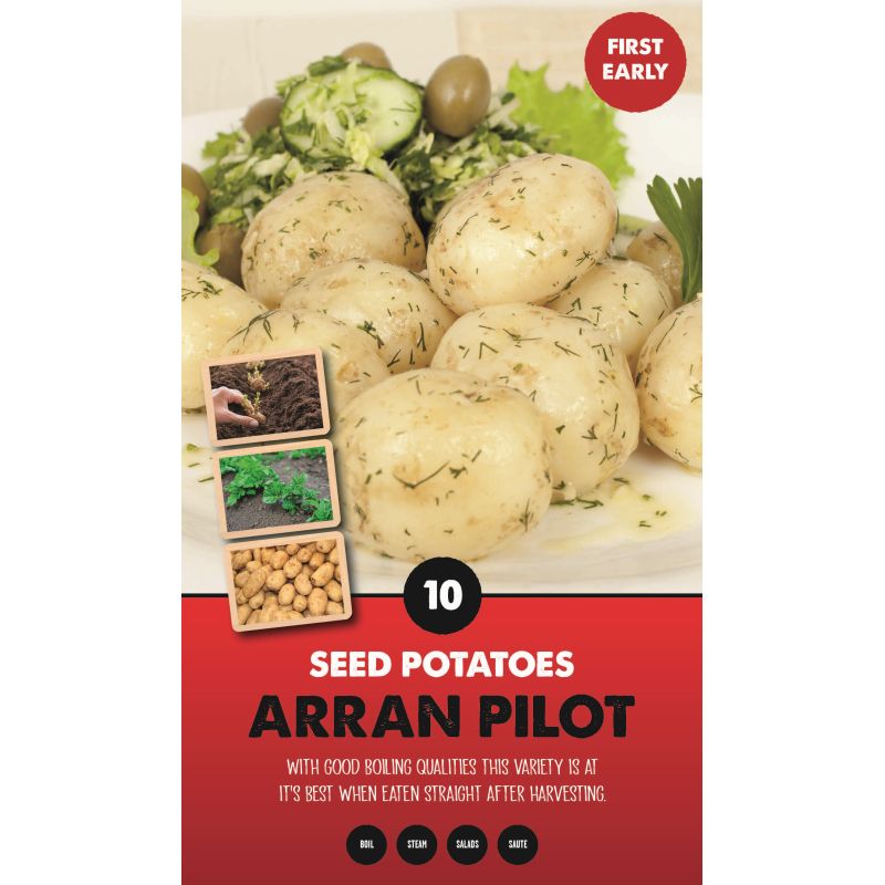 Kapiteyn | Arran Pilot First Early Seed Potatoes - Taster Pack (10)