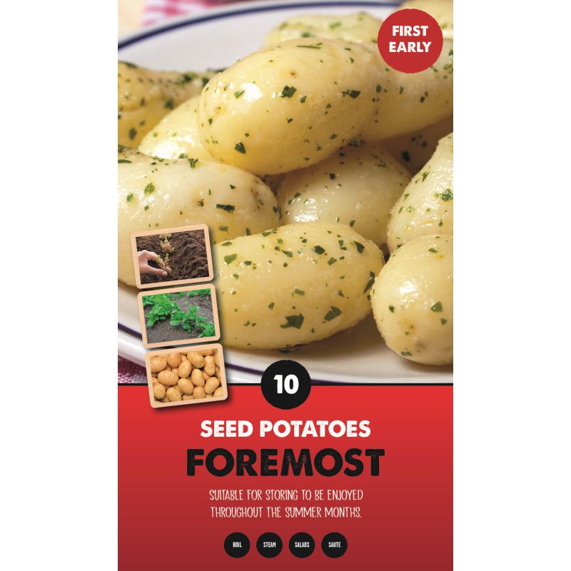 Kapiteyn | Bulbs Foremost First Early Seed Potatoes - Taster Pack (10)