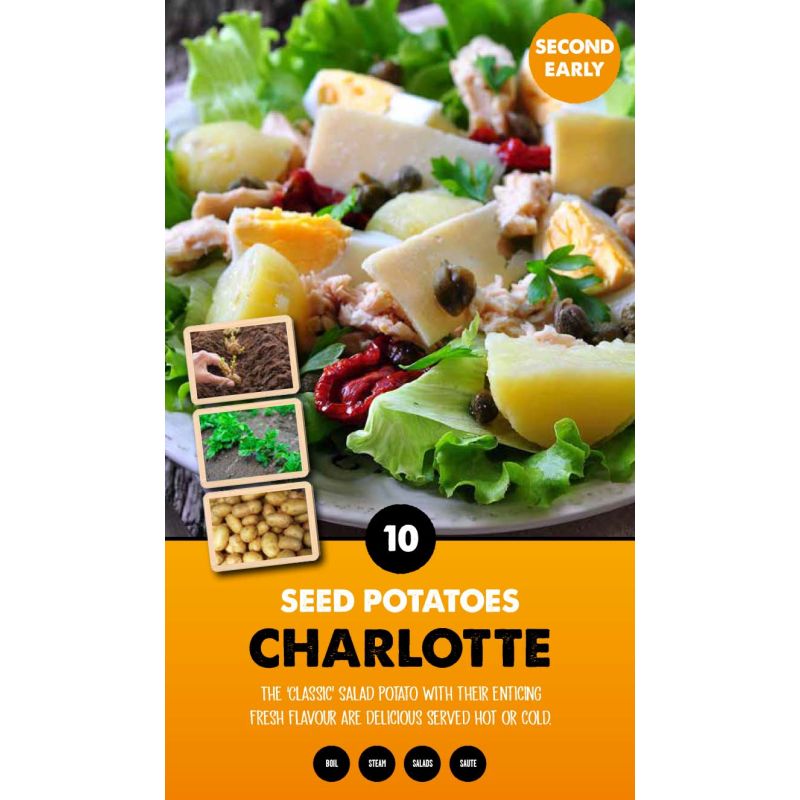 Kapiteyn | Charlotte Second Early Seed Potatoes - Taster Pack (10)