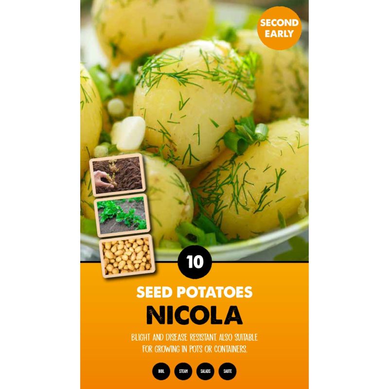 Kapiteyn | Nicola Second Early Seed Potatoes - Taster Pack (10)
