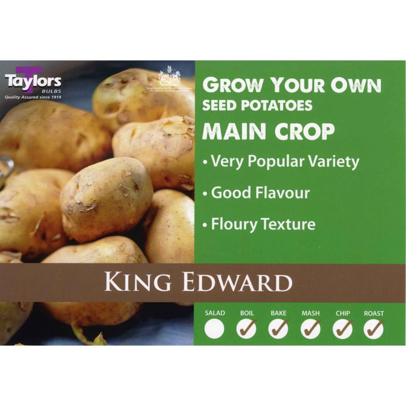 Taylors Bulbs | King Edward Main Crop Seed Potatoes - 2kg Pack (VAC478)