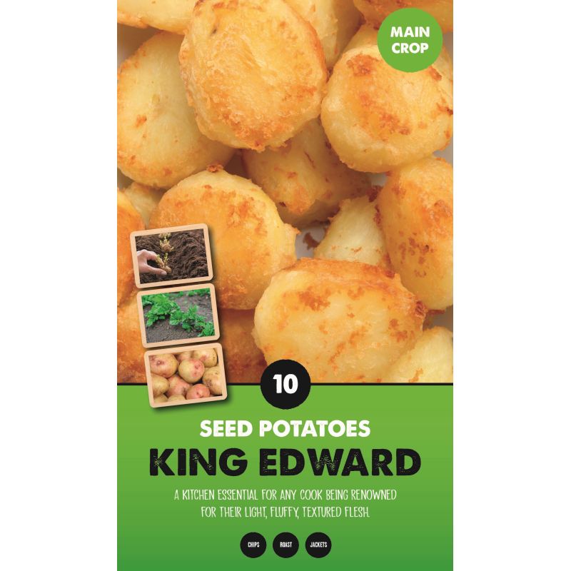 Kapiteyn | King Edward Main Crop Seed Potatoes - Taster Pack (10)