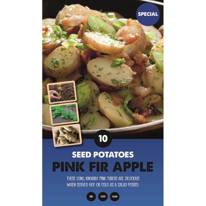 Kapiteyn | Pink Fir Apple Main Crop Seed Potatoes - Taster Pack (10)