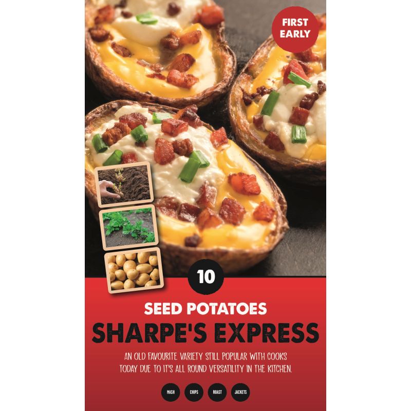 Kapiteyn | Sharpe's Express First Early Seed Potatoes - Taster Pack (10)