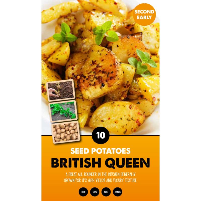 Kapiteyn | British Queen Second Early Seed Potatoes - Taster Pack (10)