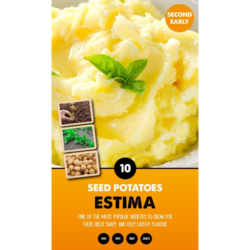 Kapiteyn | Estima Second Early Seed Potatoes - Taster Pack (10)