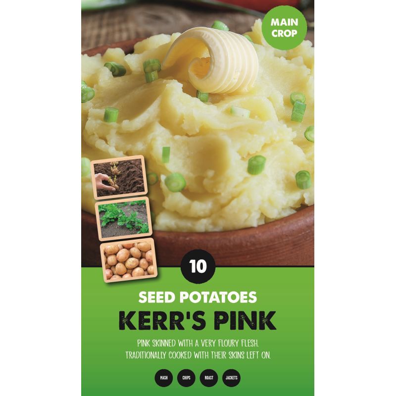 Kapiteyn | Kerr's Pink Main Crop Seed Potatoes - Taster Pack (10)