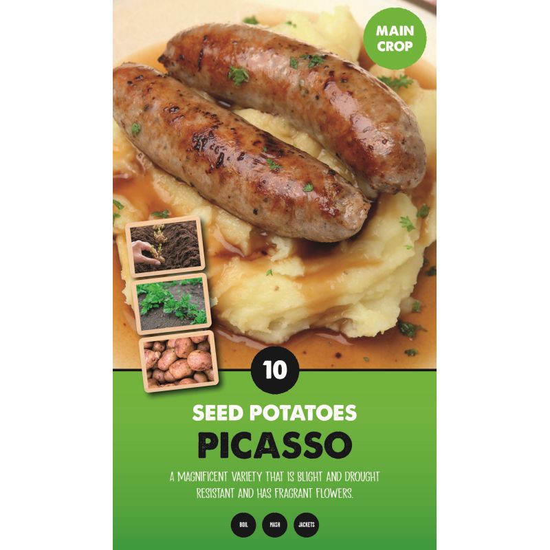 Kapiteyn | Picasso Main Crop Seed Potatoes - Taster Pack (10)