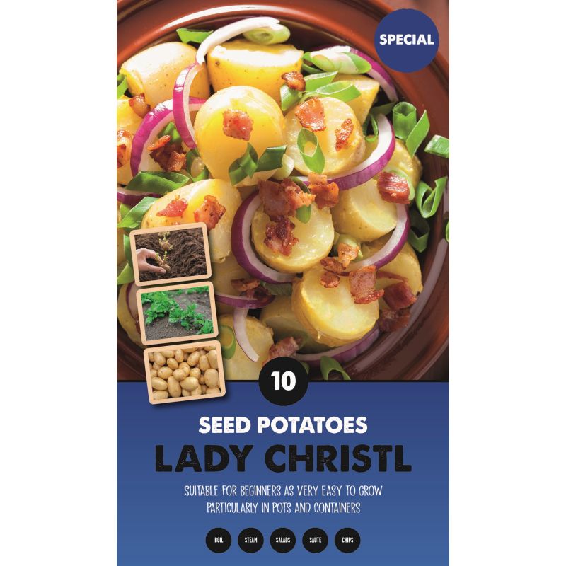 Kapiteyn | Lady Christl First Early Seed Potatoes - Taster Pack (10)