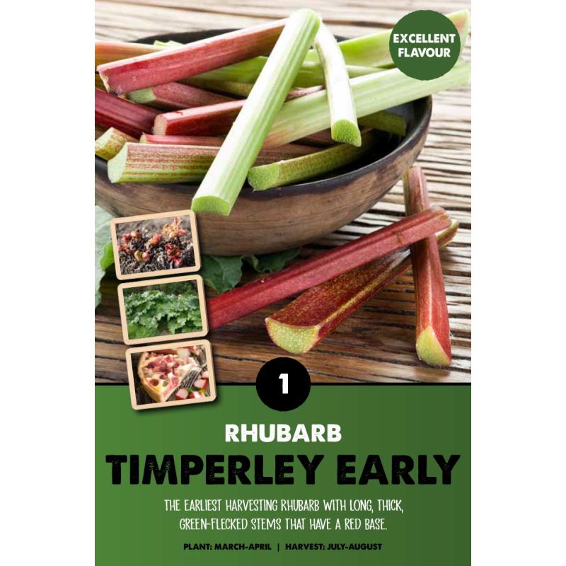 Kapiteyn | Rhubarb Timperley Early - 1 Pack