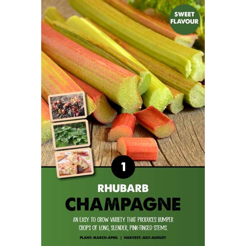 Kapiteyn | Rhubarb Champagne - 1 Pack