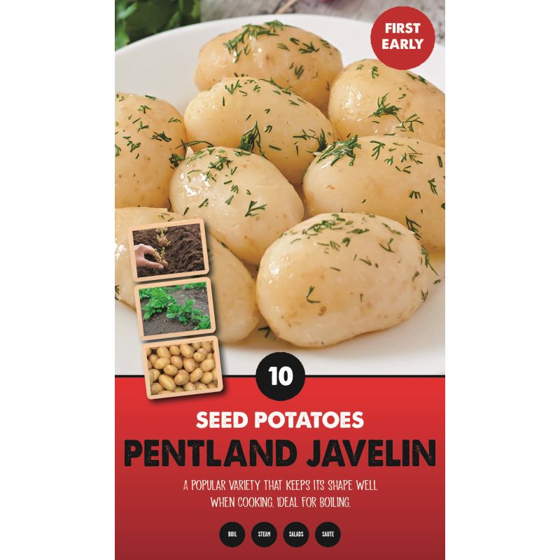Kapiteyn | Pentland Javelin First Early Seed Potatoes - Taster Pack (10)