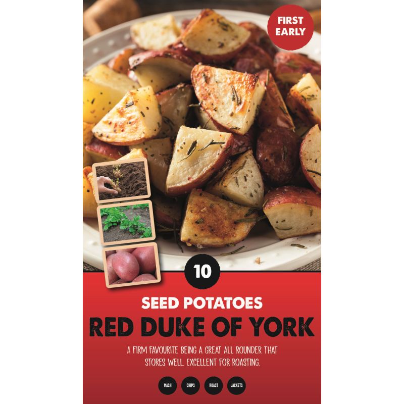 Kapiteyn | Red Duke of York First Early Seed Potatoes - Taster Pack (10)