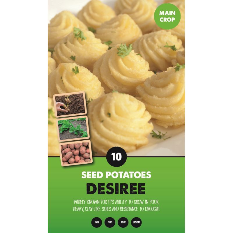 Kapiteyn | Desiree Main Crop Seed Potatoes - Taster Pack (10)