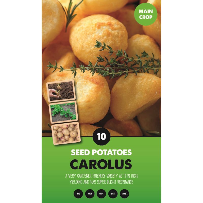 Kapiteyn | Carolus Main Crop Seed Potatoes - Taster Pack (10)