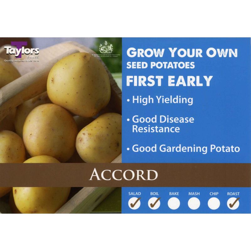 Taylors Bulbs | Accord First Early Seed Potatoes - 2kg Pack (VAC401)