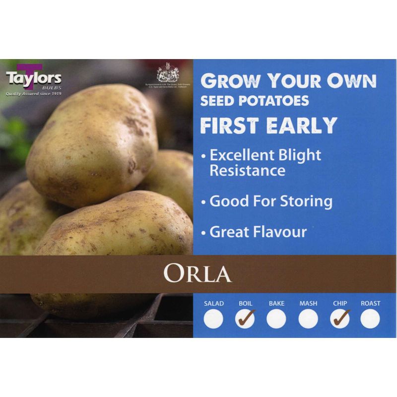 Taylors Bulbs | Orla First Early Seed Potatoes - 2kg Pack (VAC416)
