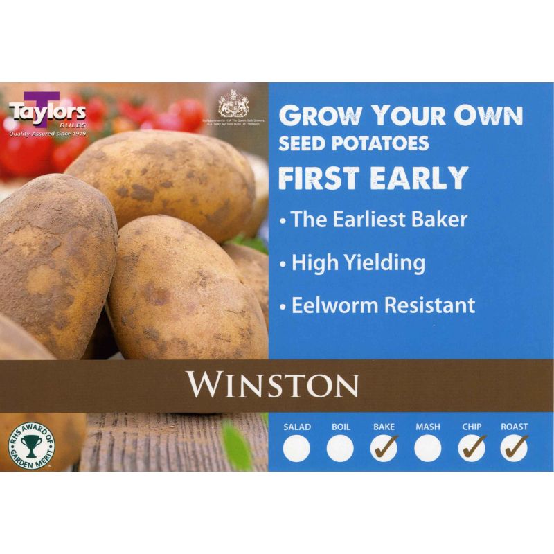 Taylors Bulbs | Winston First Early Seed Potatoes - 2kg Pack (VAC436)