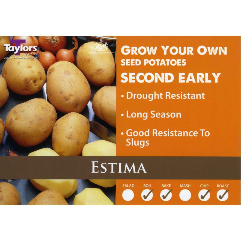 Taylors Bulbs | Estima Second Early Seed Potatoes - 2kg Pack (VAC444)