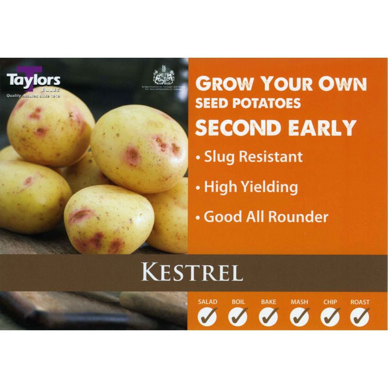 Taylors Bulbs | Kestrel Second Early Seed Potatoes - 2kg Pack (VAC448)