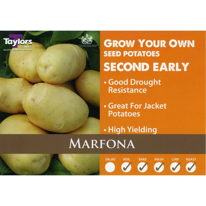 Taylors Bulbs | Marfona Second Early Seed Potatoes - 2kg Pack (VAC450)