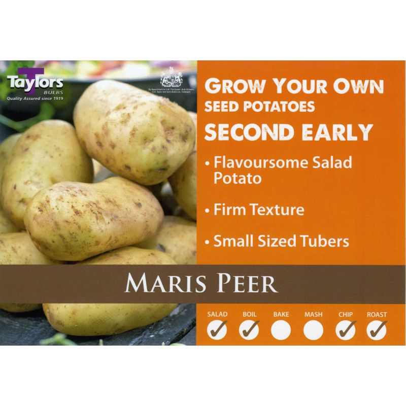 Taylors Bulbs | Maris Peer Second Early Seed Potatoes - 2kg Pack (VAC452)