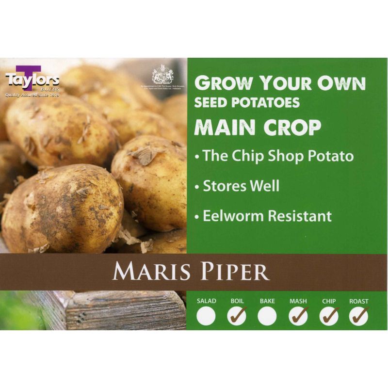 Taylors Bulbs | Maris Piper Main Crop Seed Potatoes - 2kg Pack (VAC484)