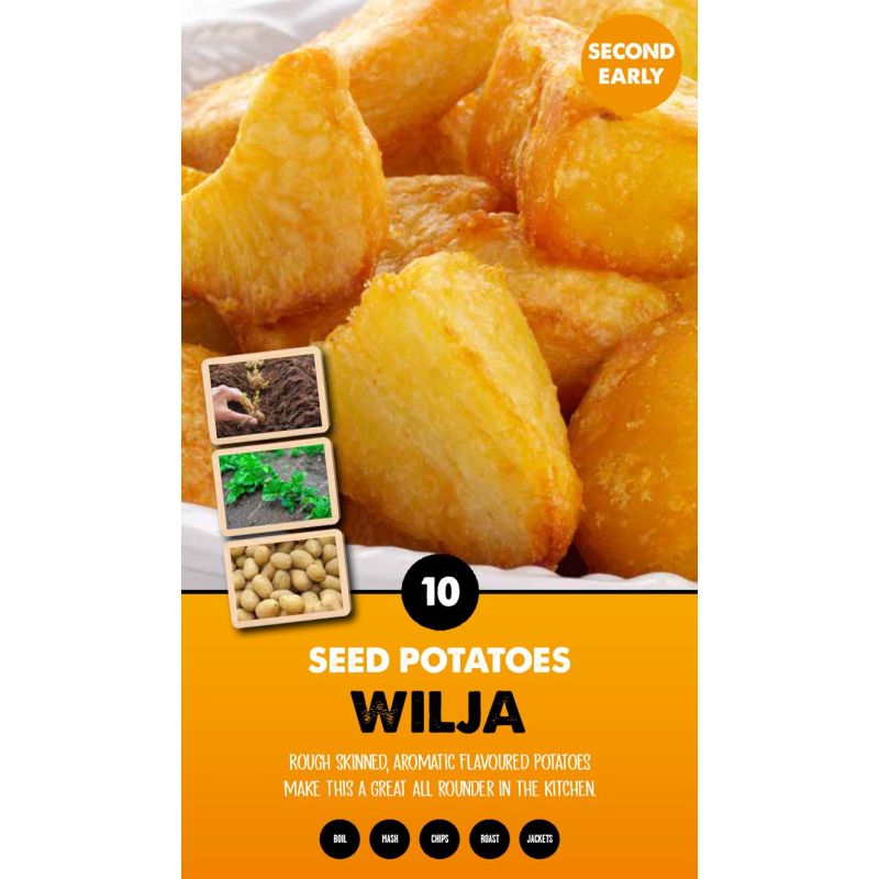 Kapiteyn | Wilja Second Early Seed Potatoes - Taster Pack (10)