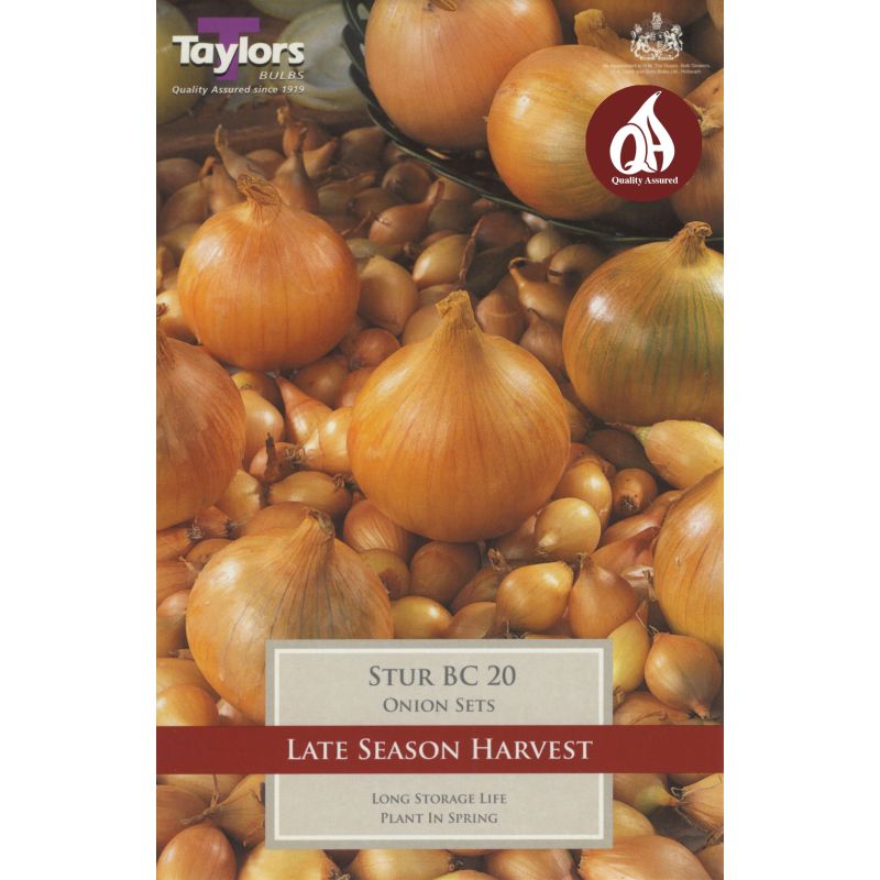 Taylors Bulbs Stur BC 20 Onion Sets - 50 Pack (VP245)