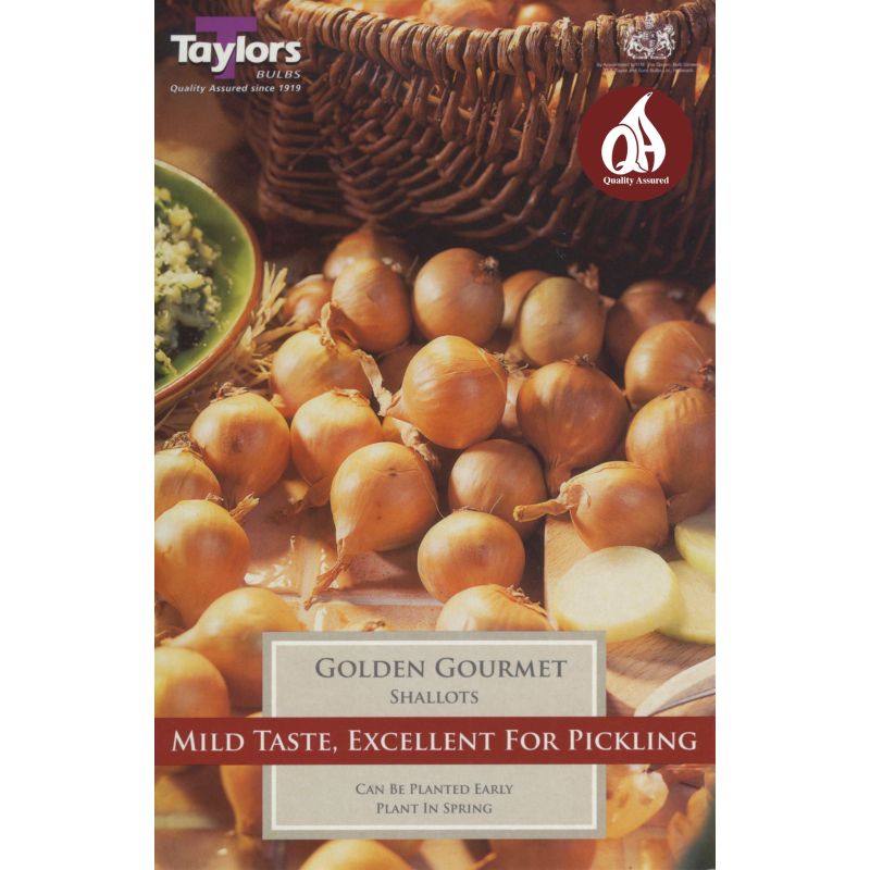Taylors Bulbs Golden Gourmet Shallots - 12 Pack (VP300)