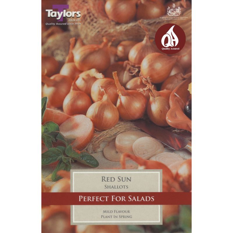 Taylors Bulbs Red Sun Shallots - 12 Pack (VP330)