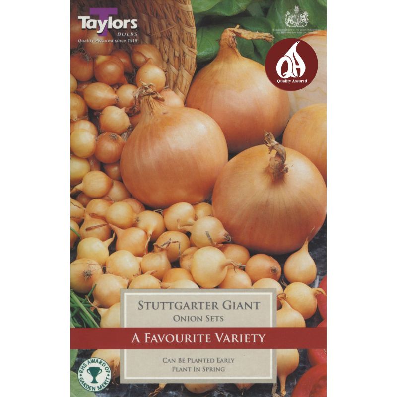 Taylors Bulbs Stuttgarter Giant Onion Sets - 50 Pack (VP260)