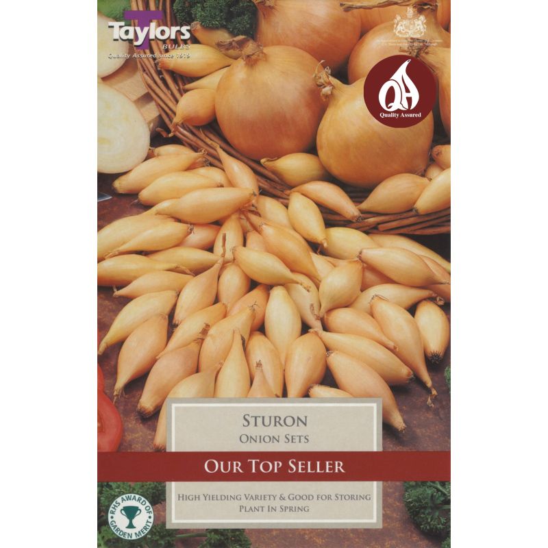 Taylors Bulbs Sturon Onion Sets - 50 Pack (VP250)