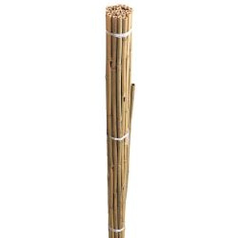 Bamboo Canes 4ft - Pack of 20