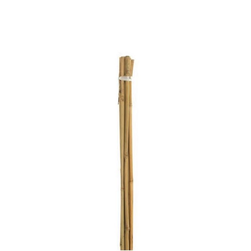 Bamboo Canes 6ft - Pack of 10