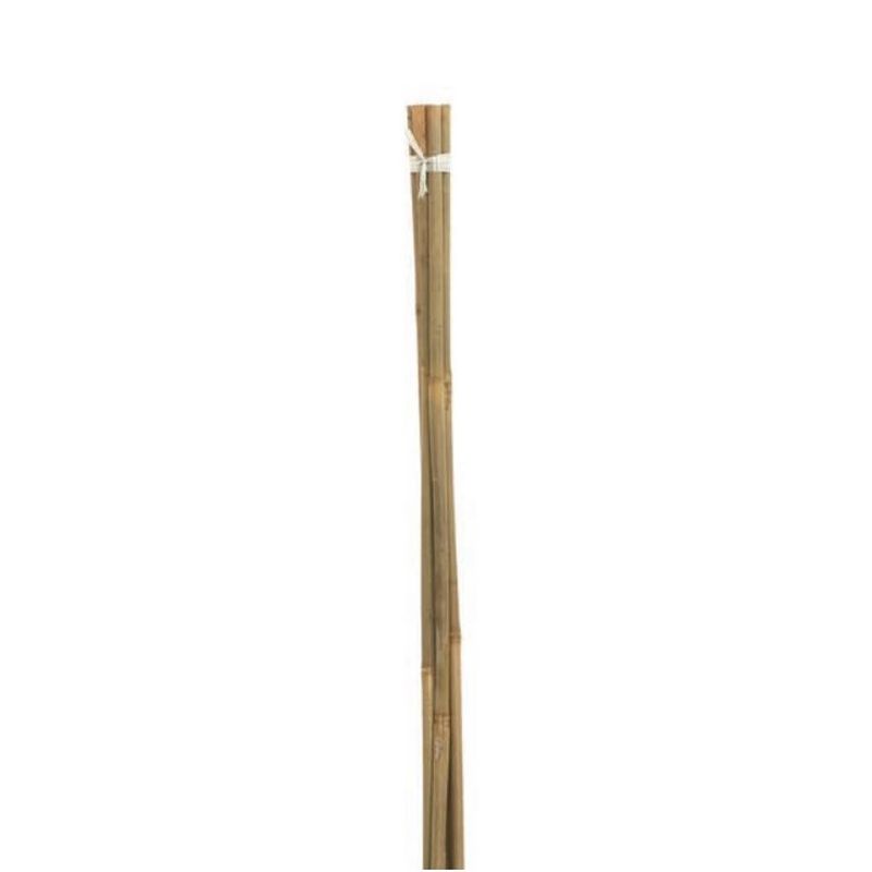 Bamboo Canes 7ft - Pack of 6