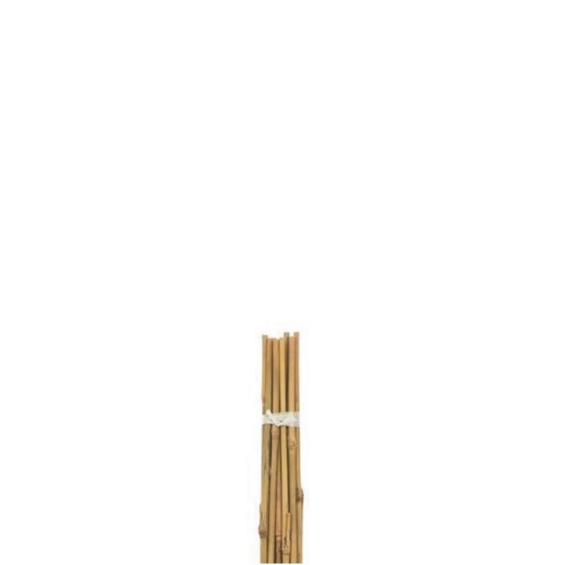 Bamboo Canes 3ft - Pack of 20