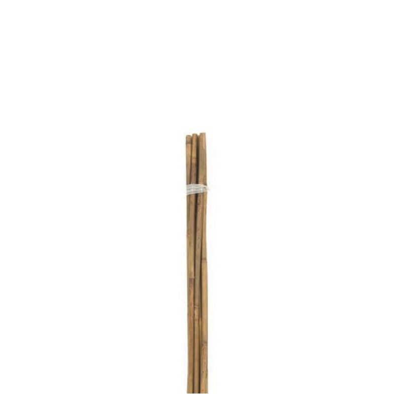 Bamboo Canes 5ft - Pack of 10